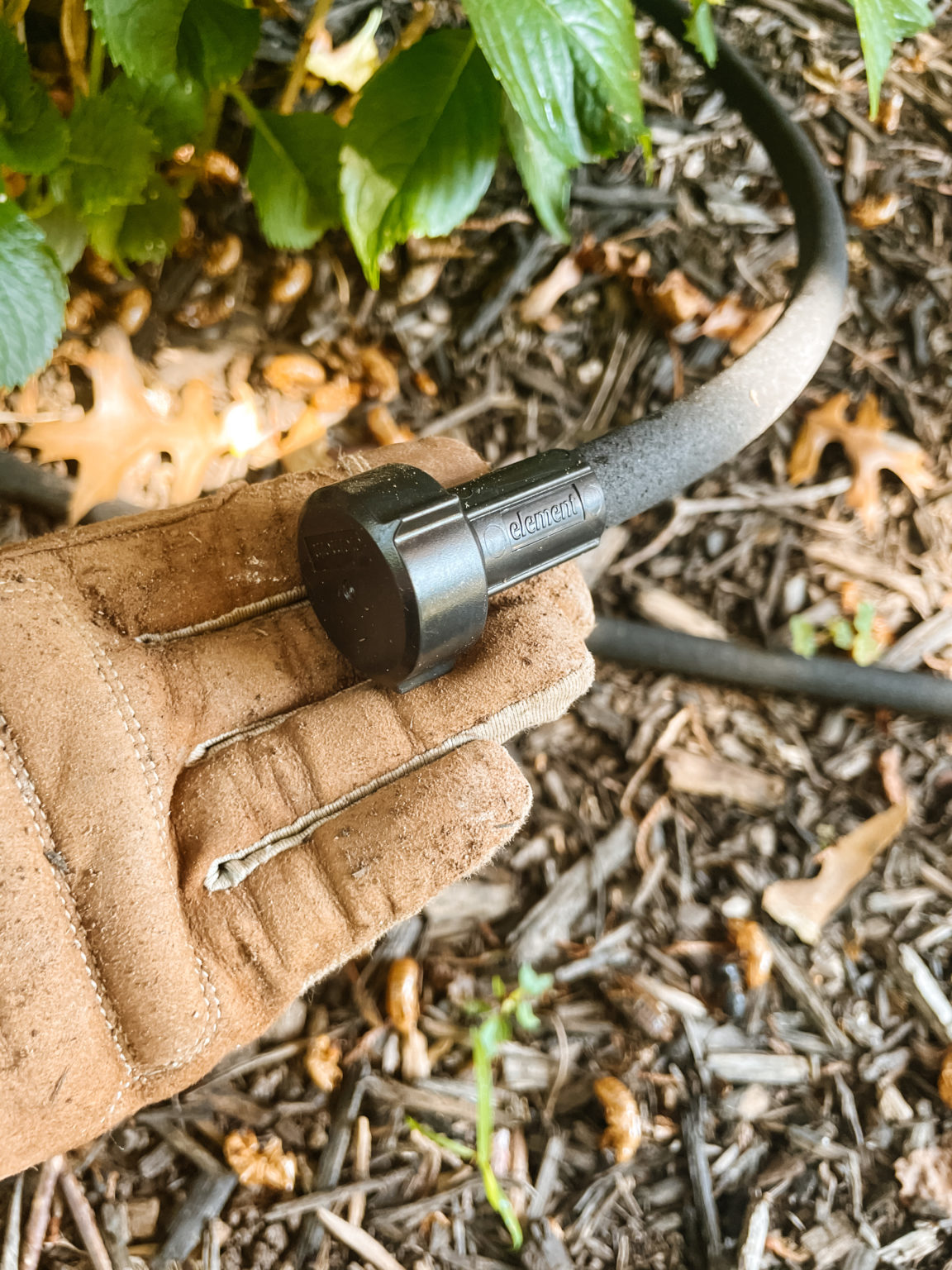How to Install Soaker Hoses in your Garden