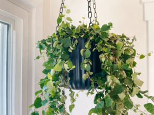 Quickly Make Your Own Chic DIY Hanging Planter