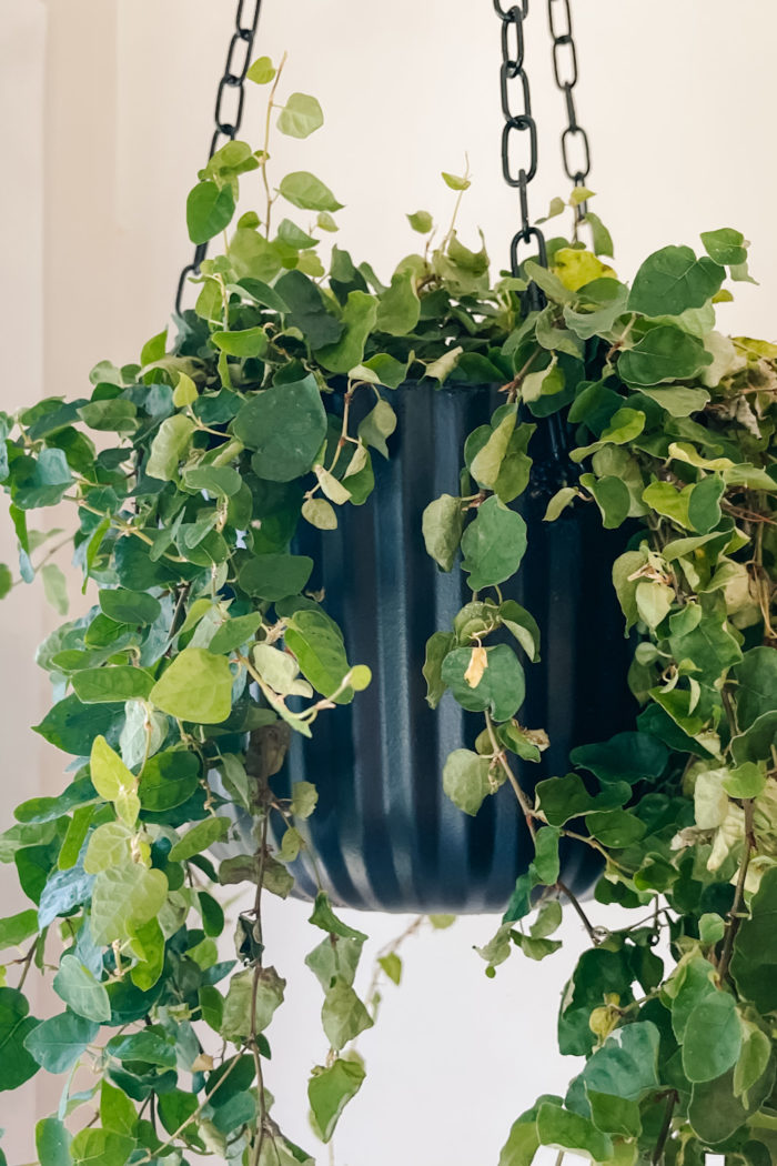 Quickly Make Your Own Chic DIY Hanging Planter