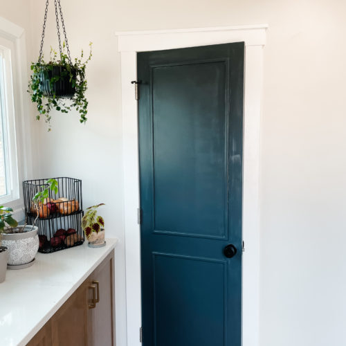 black door with decorative trim and white craftsman molding